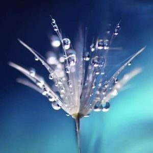 Meet your Posher, Clara